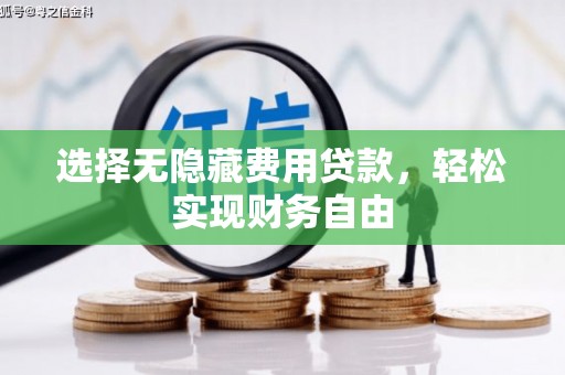 武鸣选择无隐藏费用贷款，轻松实现财务自由