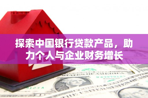 武鸣探索中国银行贷款产品，助力个人与企业财务增长
