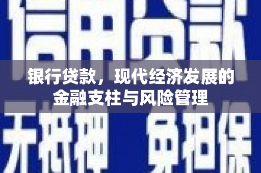 武鸣银行贷款，现代经济发展的金融支柱与风险管理