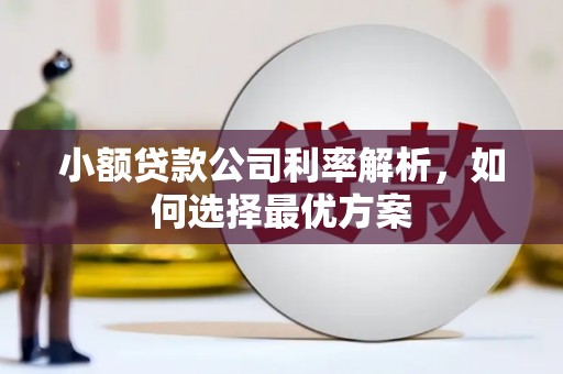 武鸣小额贷款公司利率解析，如何选择最优方案