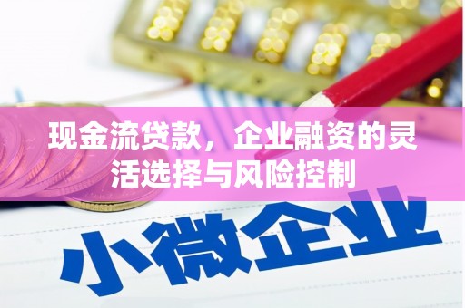 武鸣现金流贷款，企业融资的灵活选择与风险控制