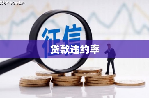 武鸣贷款违约率