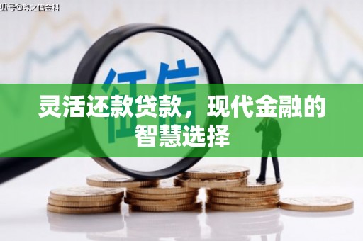 武鸣灵活还款贷款，现代金融的智慧选择