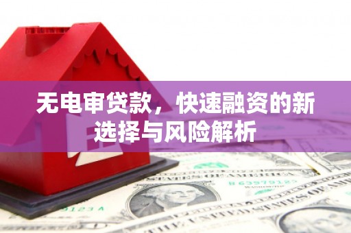 武鸣无电审贷款，快速融资的新选择与风险解析