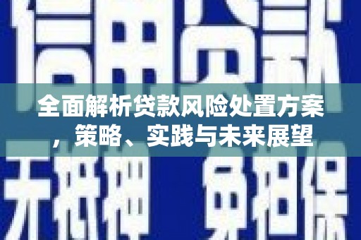 武鸣全面解析贷款风险处置方案，策略、实践与未来展望