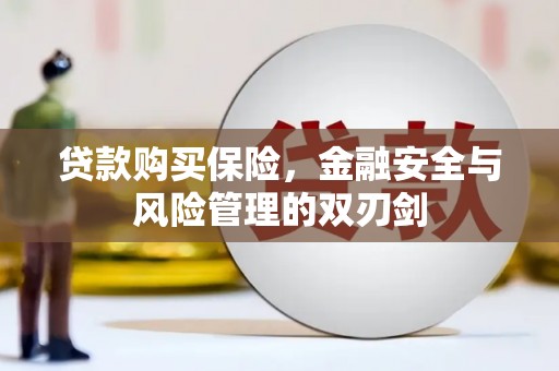 武鸣贷款购买保险，金融安全与风险管理的双刃剑