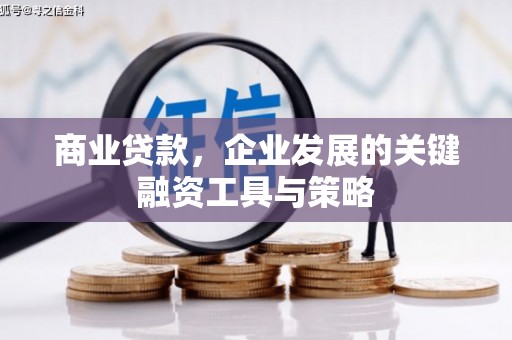 武鸣商业贷款，企业发展的关键融资工具与策略