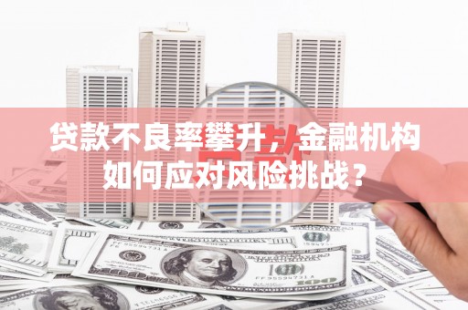 武鸣贷款不良率攀升，金融机构如何应对风险挑战？