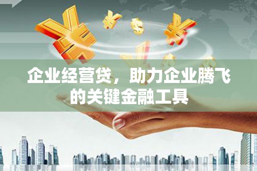 武鸣企业经营贷，助力企业腾飞的关键金融工具