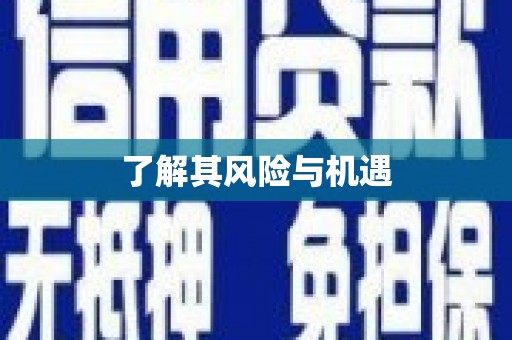 武鸣了解其风险与机遇