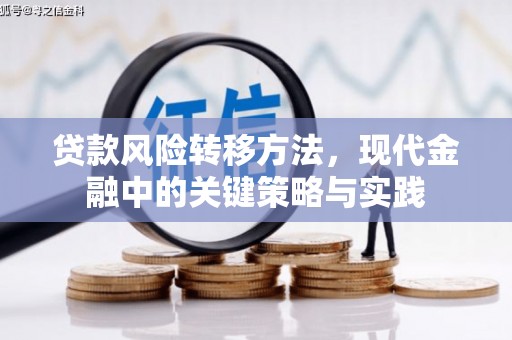 武鸣贷款风险转移方法，现代金融中的关键策略与实践