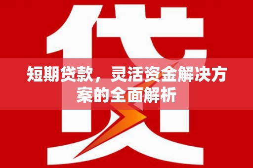 武鸣短期贷款，灵活资金解决方案的全面解析