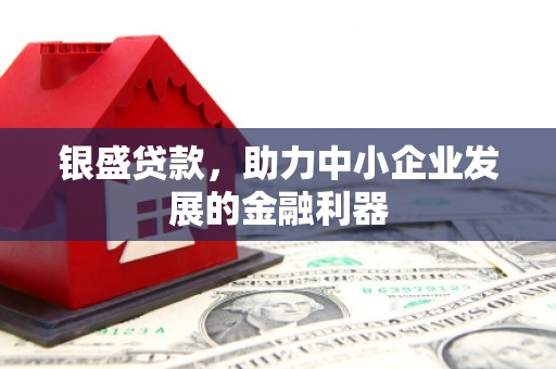 武鸣银盛贷款，助力中小企业发展的金融利器