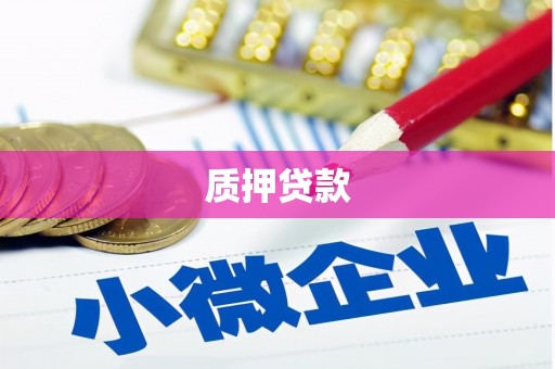 武鸣质押贷款