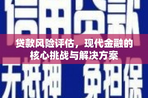 武鸣贷款风险评估，现代金融的核心挑战与解决方案