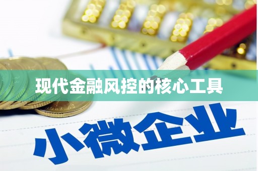 武鸣现代金融风控的核心工具