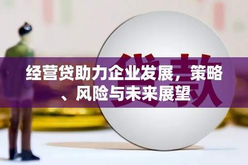 武鸣经营贷助力企业发展，策略、风险与未来展望