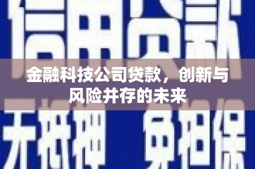 武鸣金融科技公司贷款，创新与风险并存的未来
