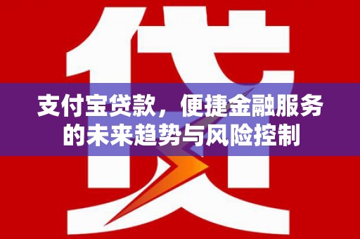 武鸣支付宝贷款，便捷金融服务的未来趋势与风险控制