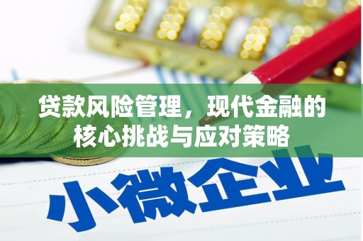武鸣贷款风险管理，现代金融的核心挑战与应对策略