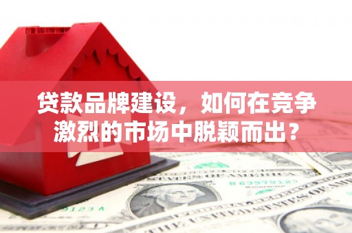武鸣贷款品牌建设，如何在竞争激烈的市场中脱颖而出？