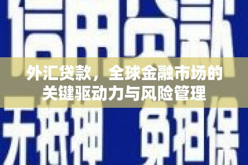 武鸣外汇贷款，全球金融市场的关键驱动力与风险管理