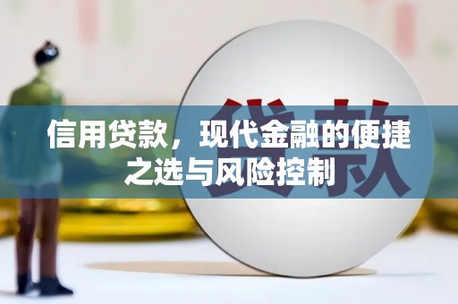 武鸣信用贷款，现代金融的便捷之选与风险控制