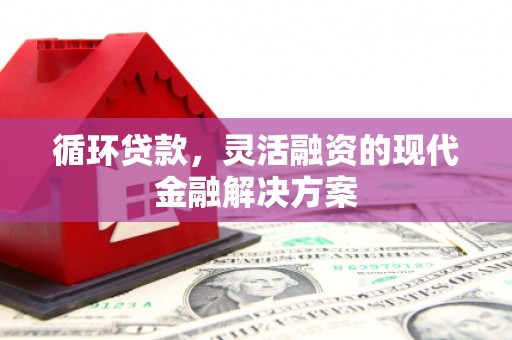 武鸣循环贷款，灵活融资的现代金融解决方案