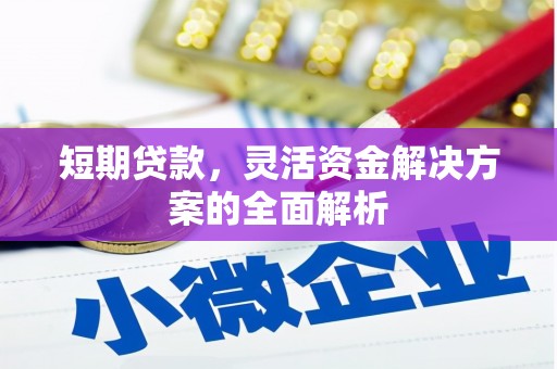 武鸣短期贷款，灵活资金解决方案的全面解析