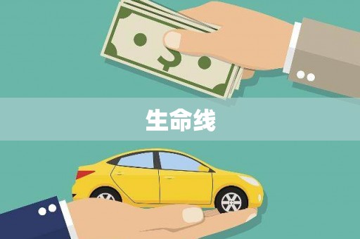 武鸣生命线