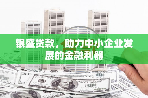 武鸣银盛贷款，助力中小企业发展的金融利器