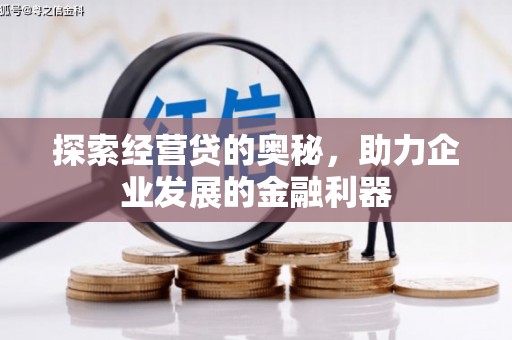 武鸣探索经营贷的奥秘，助力企业发展的金融利器