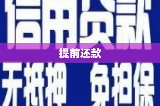武鸣提前还款