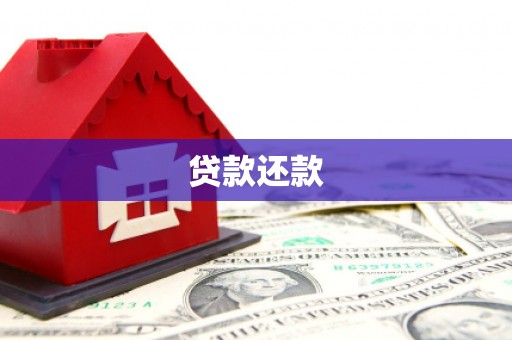 武鸣贷款还款