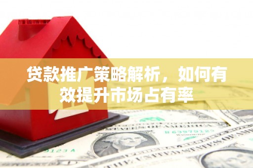 武鸣贷款推广策略解析，如何有效提升市场占有率
