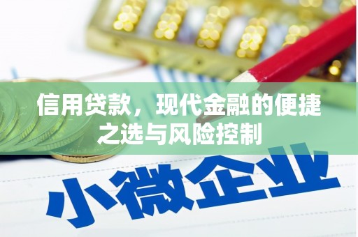 武鸣信用贷款，现代金融的便捷之选与风险控制
