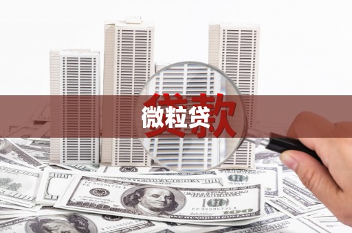 武鸣微粒贷
