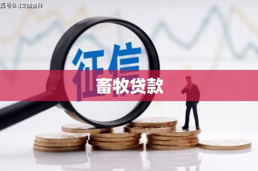 武鸣畜牧贷款