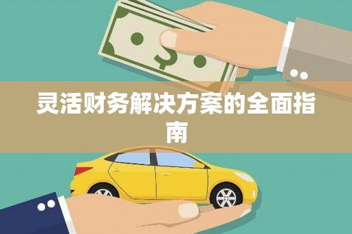 武鸣灵活财务解决方案的全面指南