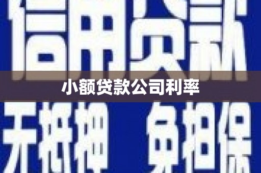 武鸣小额贷款公司利率