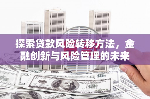 武鸣探索贷款风险转移方法，金融创新与风险管理的未来