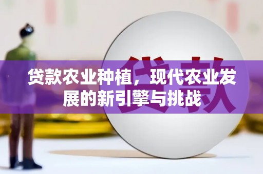 武鸣贷款农业种植，现代农业发展的新引擎与挑战