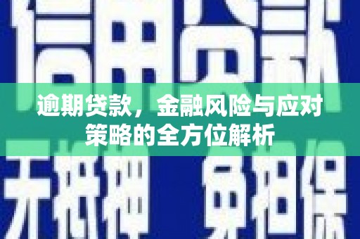 武鸣逾期贷款，金融风险与应对策略的全方位解析
