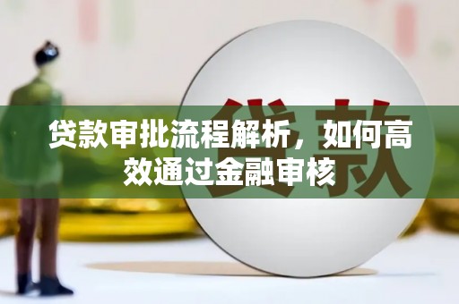 武鸣贷款审批流程解析，如何高效通过金融审核
