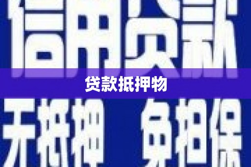 武鸣贷款抵押物