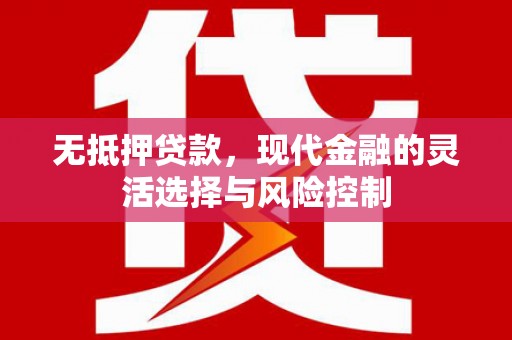 武鸣无抵押贷款，现代金融的灵活选择与风险控制
