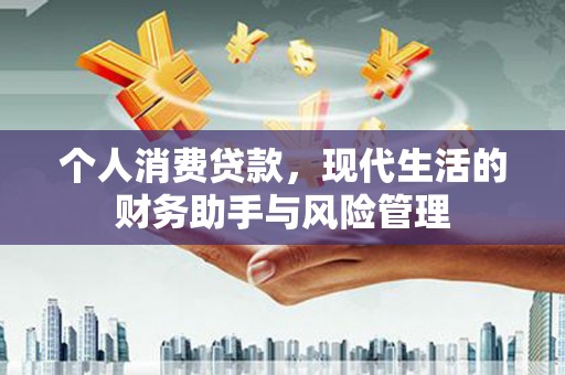 武鸣个人消费贷款，现代生活的财务助手与风险管理