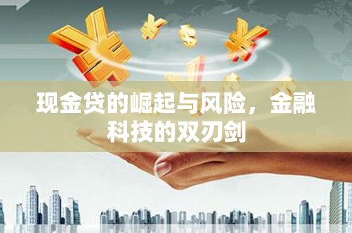 武鸣现金贷的崛起与风险，金融科技的双刃剑