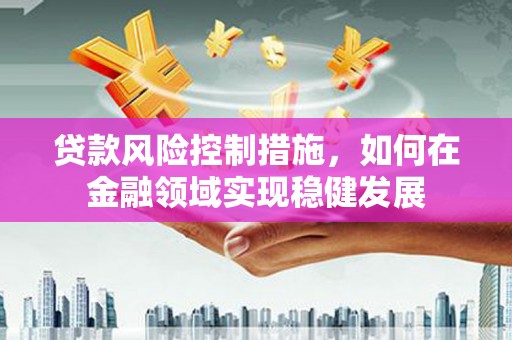 武鸣贷款风险控制措施，如何在金融领域实现稳健发展