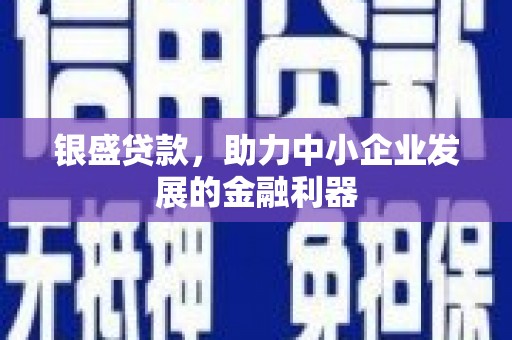 武鸣银盛贷款，助力中小企业发展的金融利器